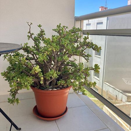 Apartamento Cavalo-Marinho Nazaré Exterior foto